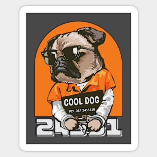 Funny Pugs Sticker